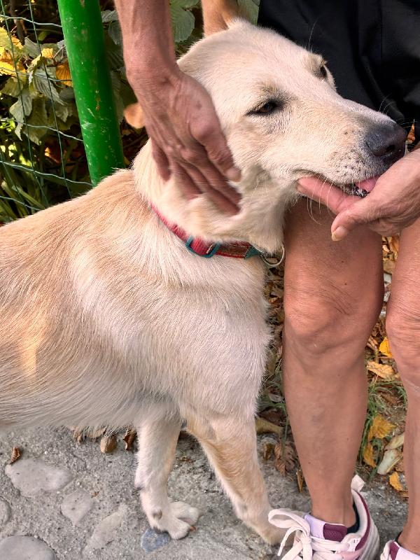 Romeo🐾💠🏩 Foto 2