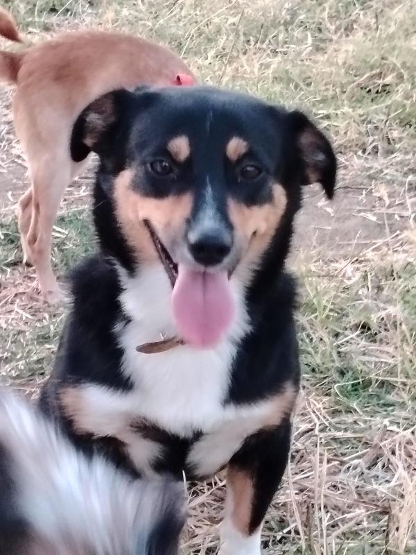 Oscar un amore❣️ Foto 5