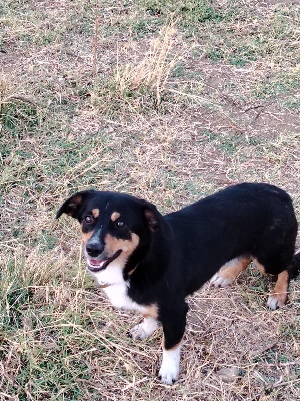 Oscar un amore❣️ Foto 6