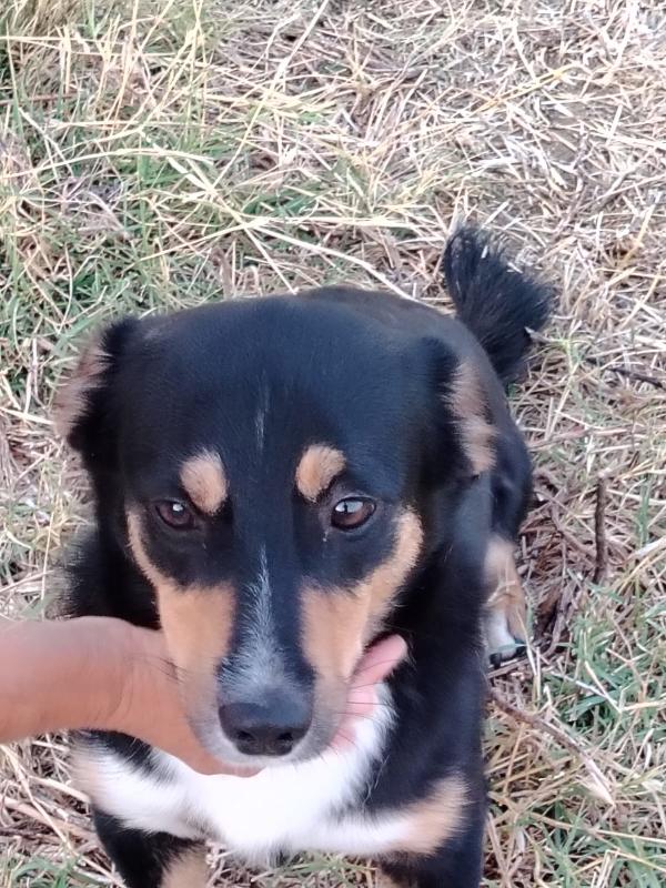 Oscar un amore❣️ Foto 8