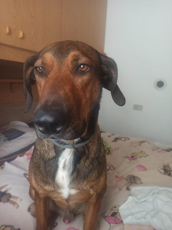 Tyler ti sta aspettando !!! dedicami 1 minuto del tuo tempo  Foto 4