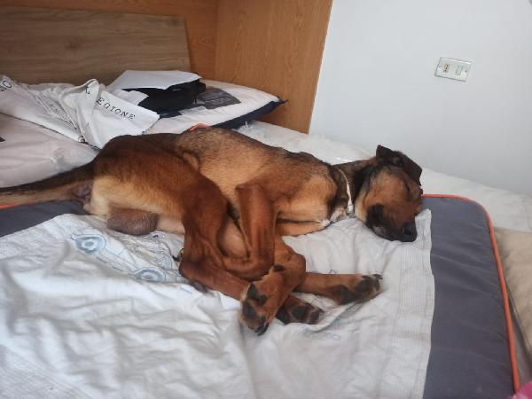 Tyler ti sta aspettando !!! dedicami 1 minuto del tuo tempo  Foto 8