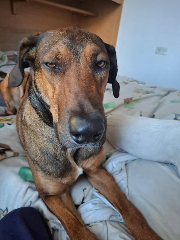 Tyler ti sta aspettando !!! dedicami 1 minuto del tuo tempo  Foto 11