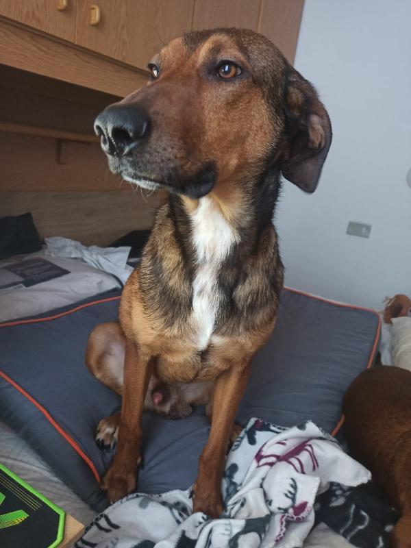 Tyler ti sta aspettando !!! dedicami 1 minuto del tuo tempo  Foto 12