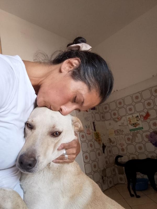 BALU’ SPLENDIDO AFFETTUOSO CUCCIOLO CERCA CASA  Foto 6