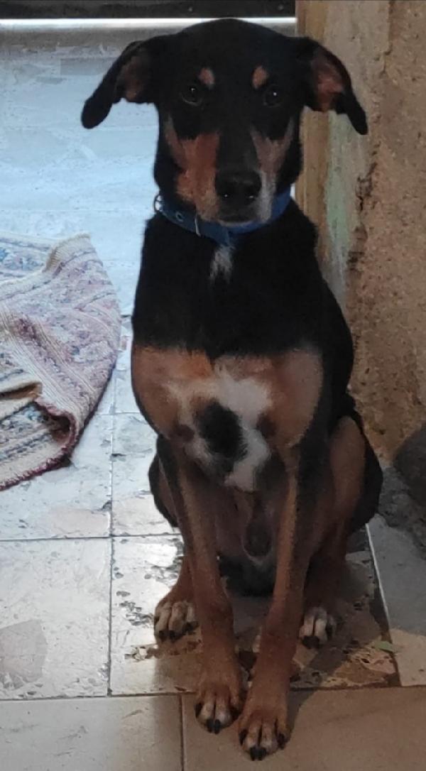 6ANNI TRASCORSI IN CASA! SOS FAMIGLIA X LUI Foto 2