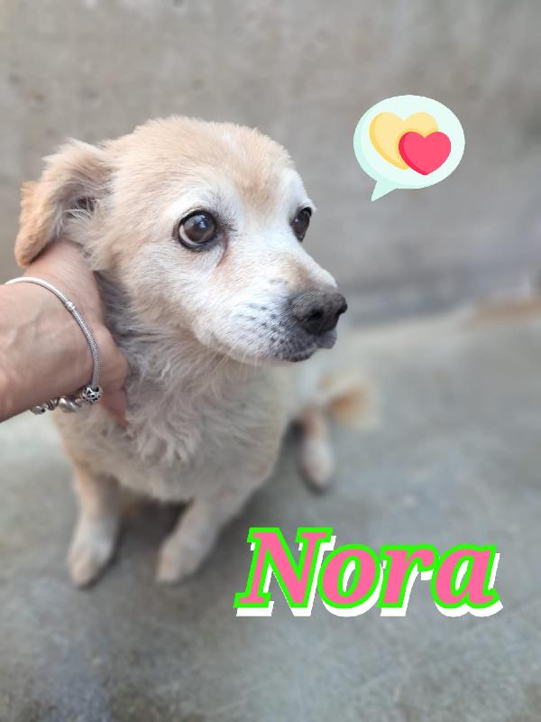 Nora Taglia Piccola, Nata Nel 2018