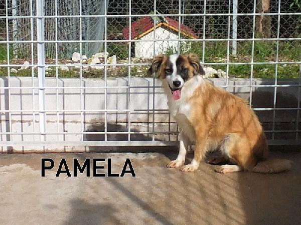 Pamela