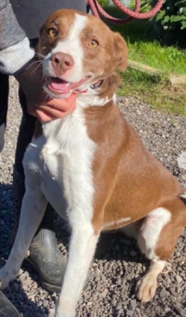 Monella 3Anni Tg Contenuta Puglia Sos