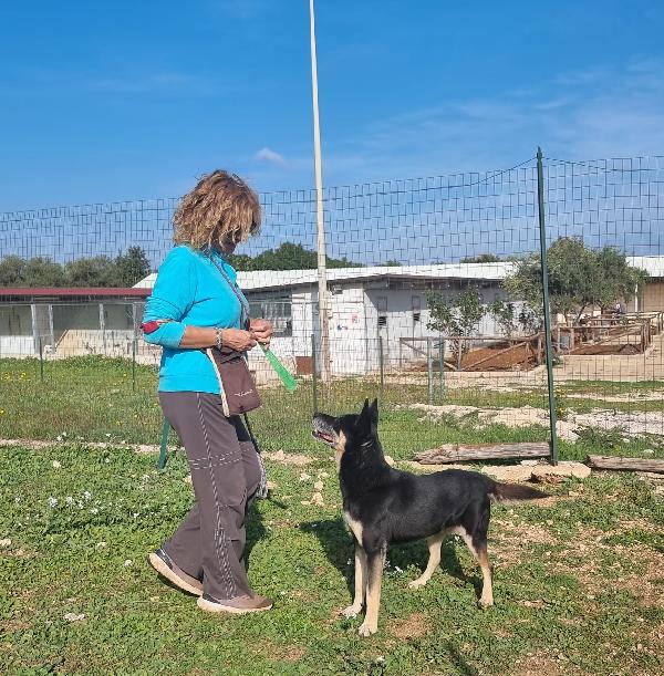 Tappina Cerca Famiglia. Info adozione Monica 3890238584 Foto 5