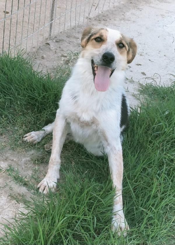UNA MAMMA PER DOLLY Foto 2