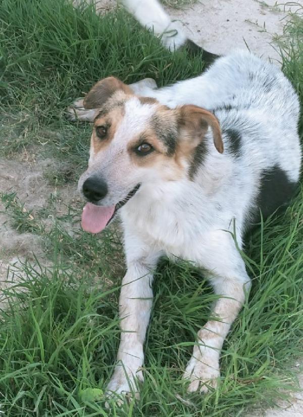 UNA MAMMA PER DOLLY Foto 3