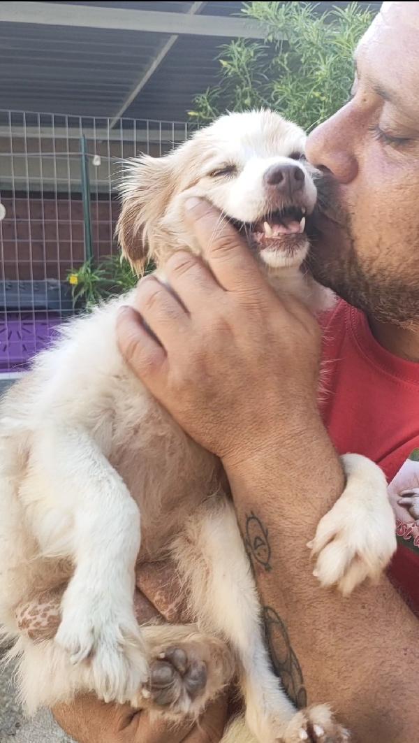 Naná 8 anni, 8 kg. cerca famiglia Foto 2