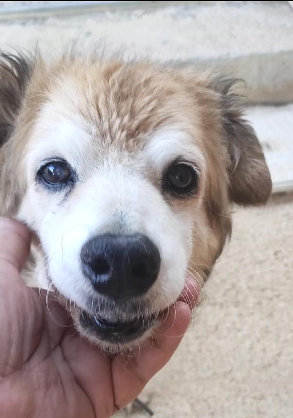 Ricciolina 13 Anni 