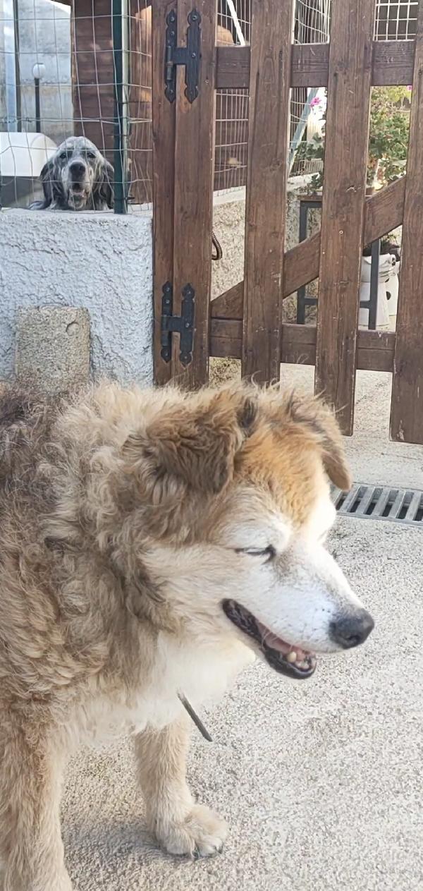 Ricciolina 13 anni  Foto 7