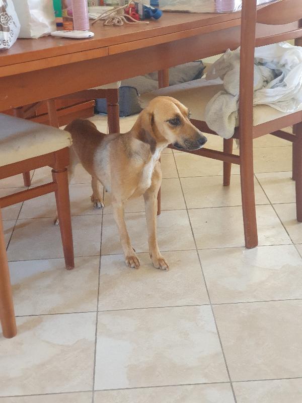 NANDA SEGUGIA  Foto 2