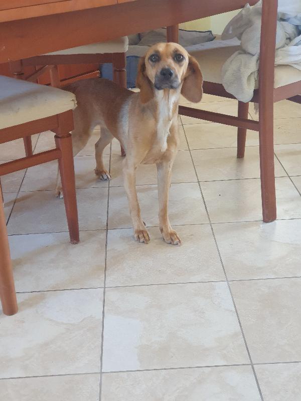 NANDA SEGUGIA  Foto 3