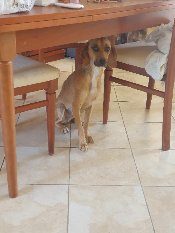 NANDA SEGUGIA  Foto 4