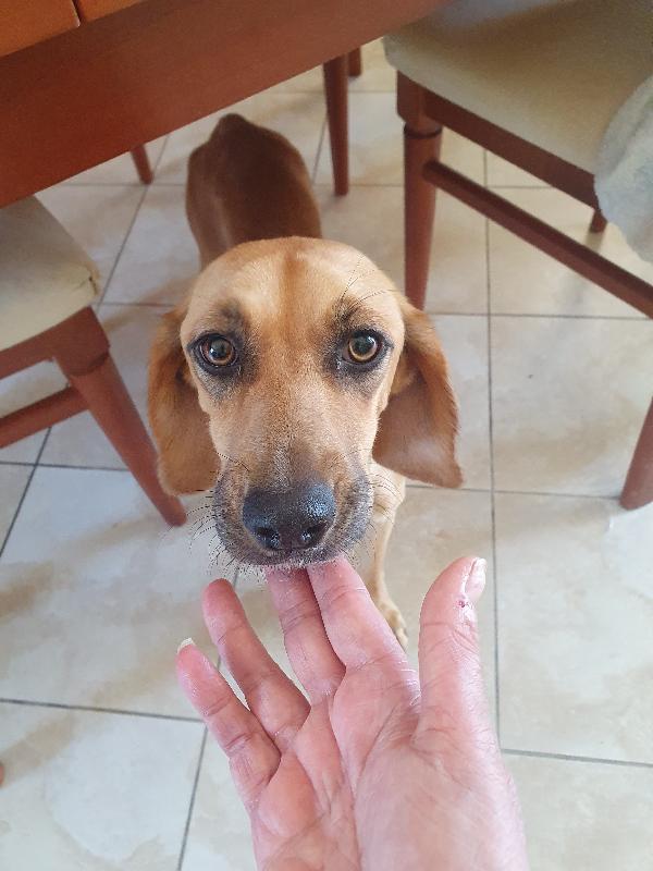 NANDA SEGUGIA  Foto 5