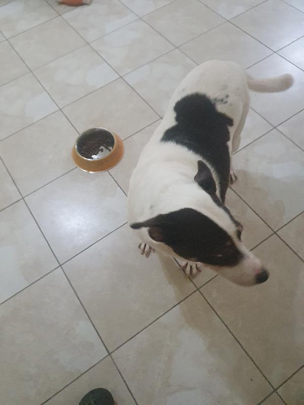 STELLA Foto 2