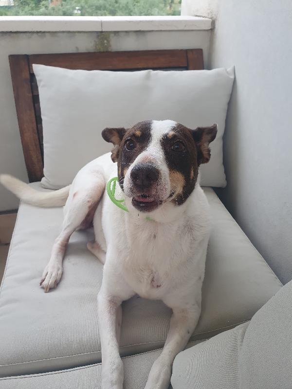 STELLA Foto 3