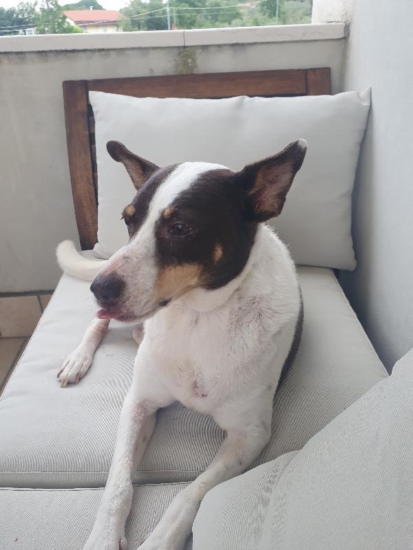 STELLA Foto 4