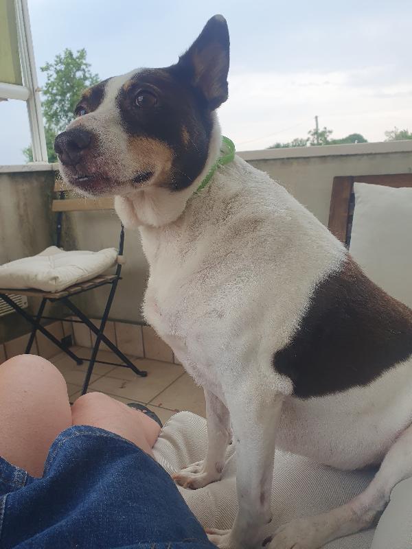 STELLA Foto 5