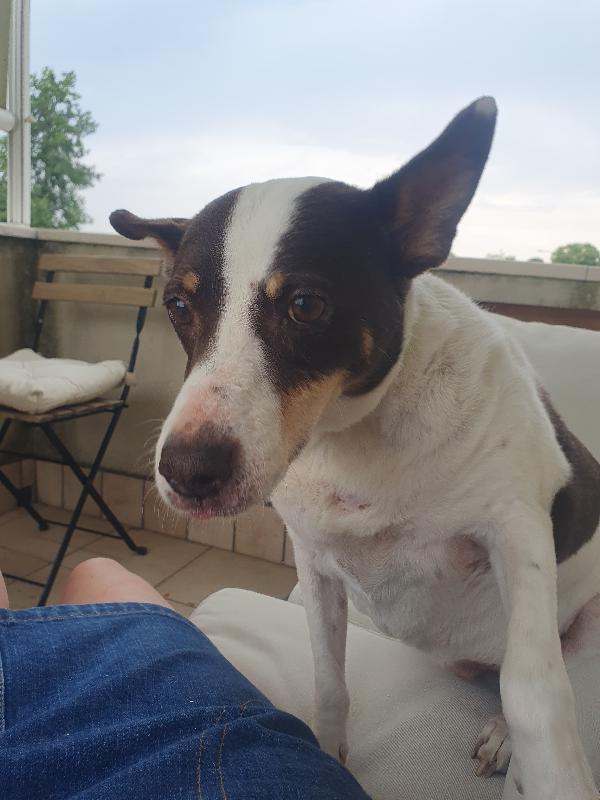 STELLA Foto 6