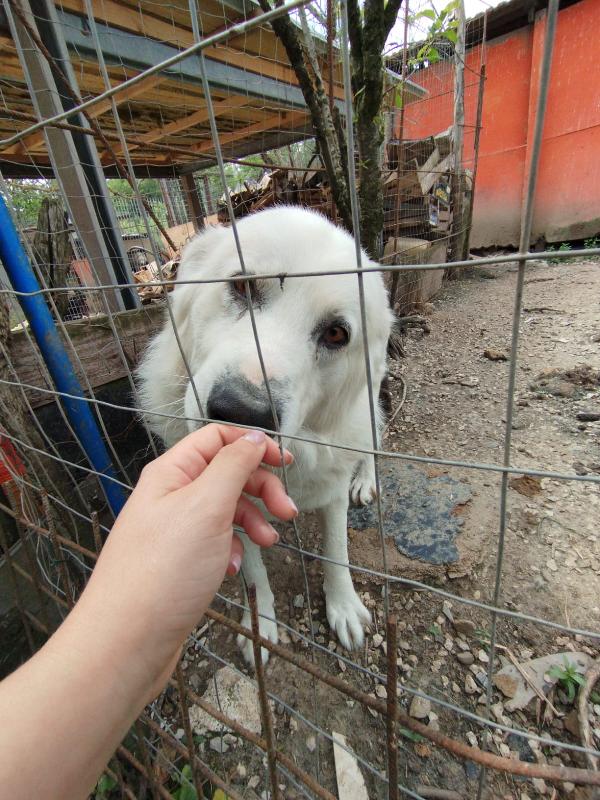 LUCKY E LEONE Foto 3