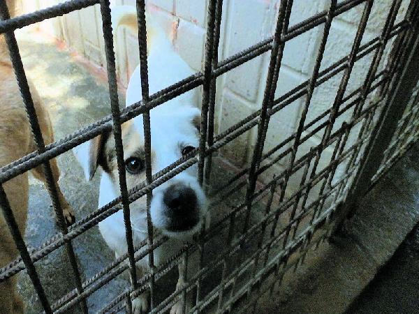 Tobia Foto 4