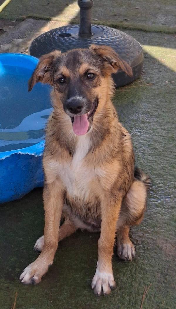 Brenda❣️🐾