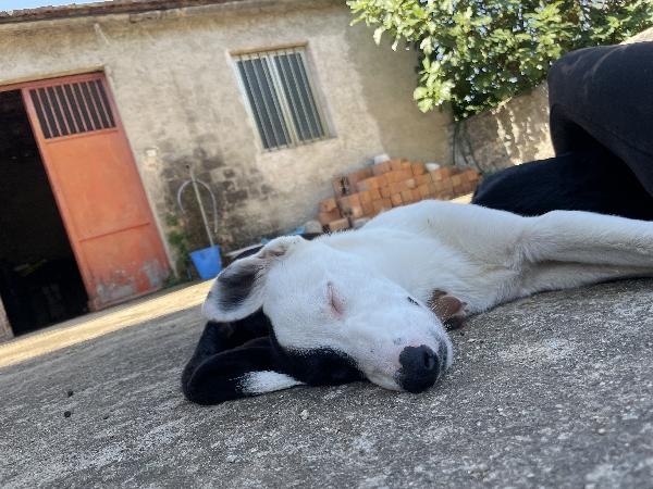 Ludovica Foto 6