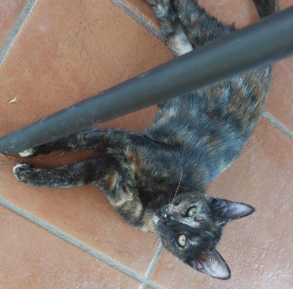 Squamy, 3,5 Mesi