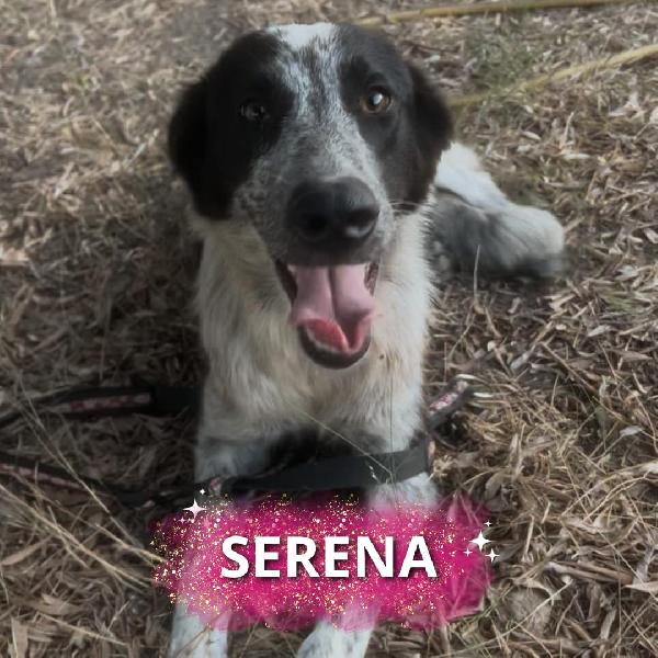 Serena, Cucciolona Black And White