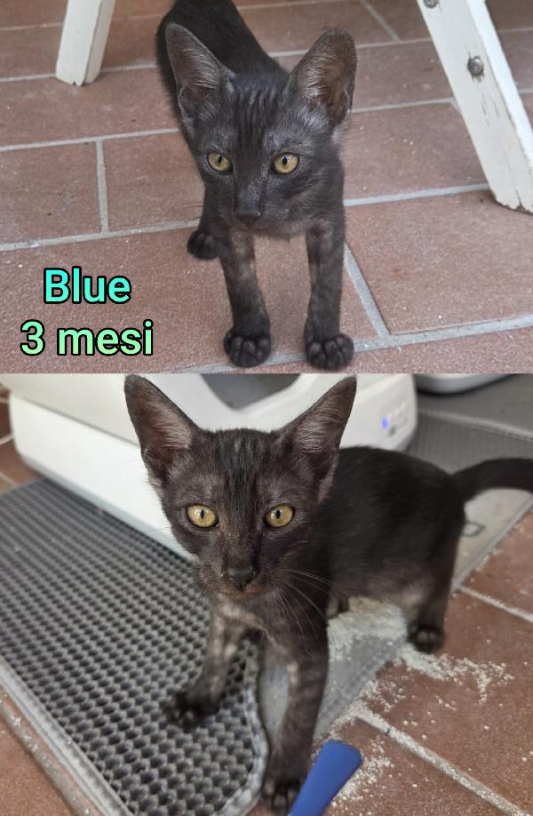 TANTI MICINI SOLI Foto 6