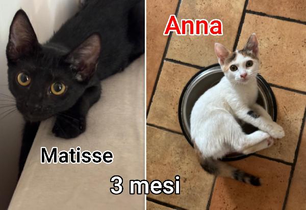 MICI SENZA CASA Foto 3