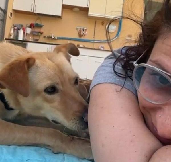 Gloria, il cane che porta il sole in casa  Foto 2
