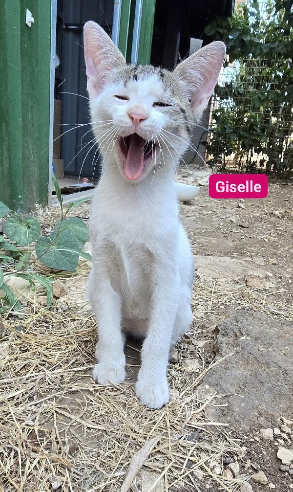 Dunia e Giselle Foto 2