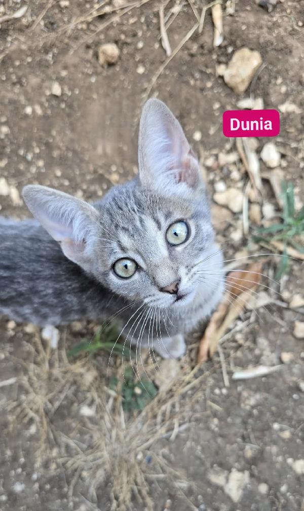 Dunia e Giselle Foto 3