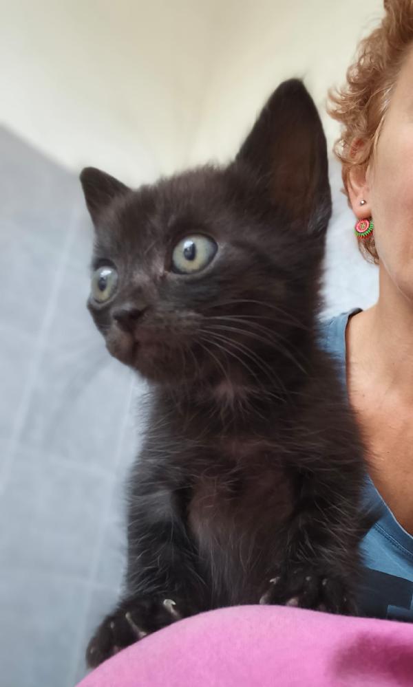 Piccolo Sid  Foto 6