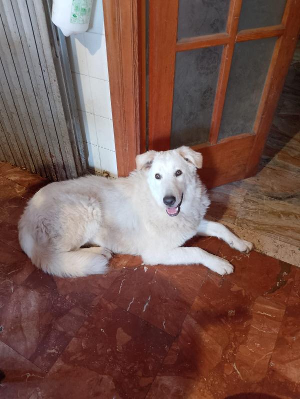 Aneta cerca la sua famiglia per sempre  Foto 8