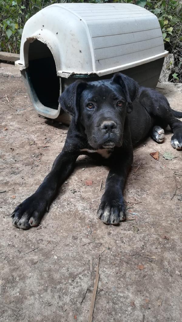 Ulisse mix corso 5 mesi Foto 5