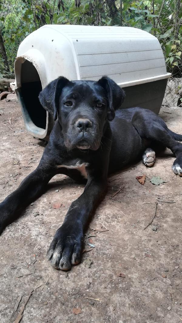Ulisse mix corso 5 mesi Foto 7