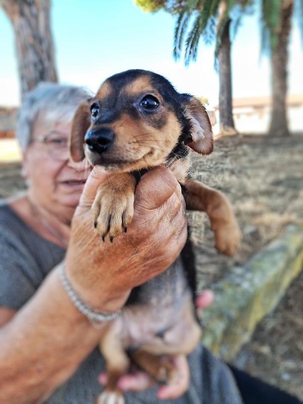 Obi🐾🩵🦴 Foto 3