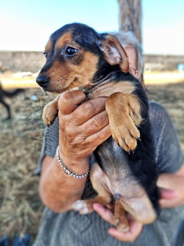 Obi🐾🩵🦴 Foto 5