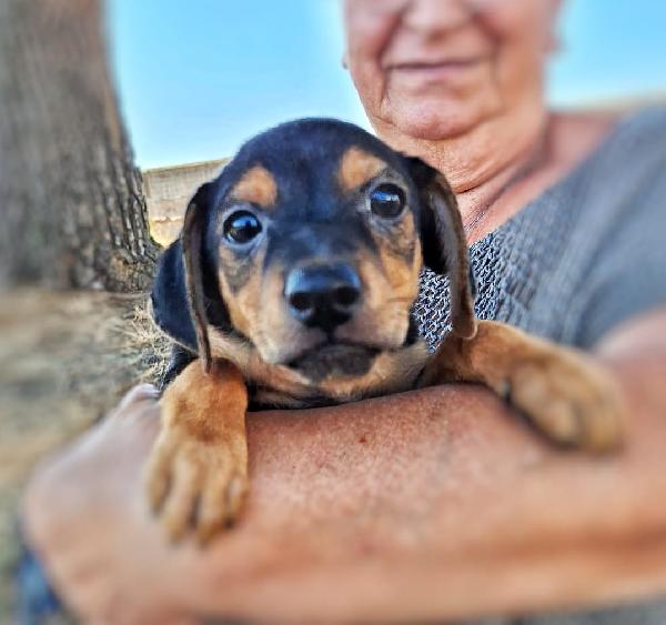 Obi🐾🩵🦴 Foto 6