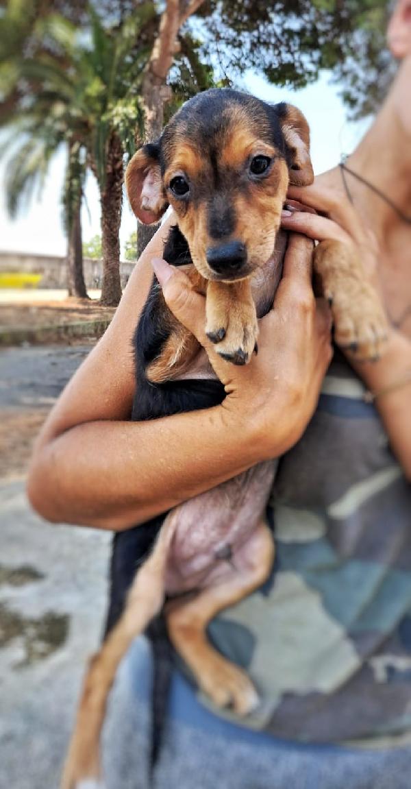 Obi🐾🩵🦴 Foto 7