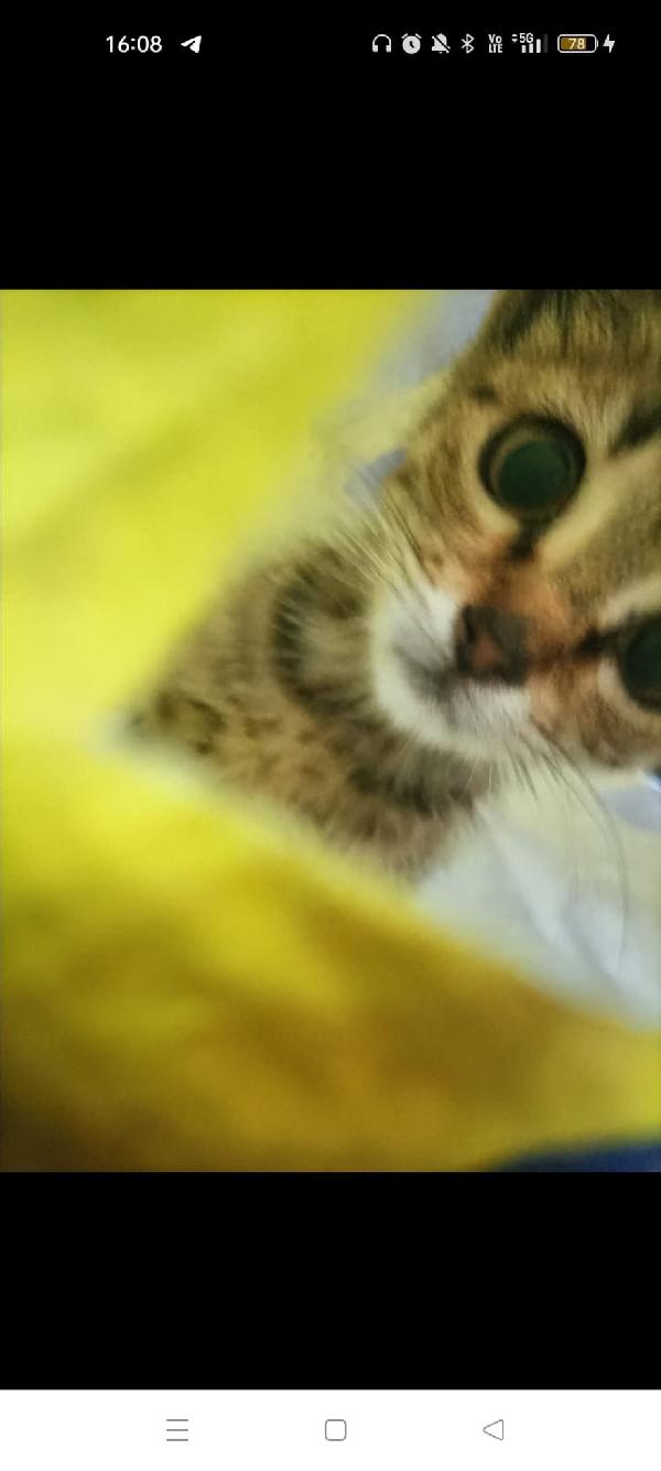 Molly Foto 3