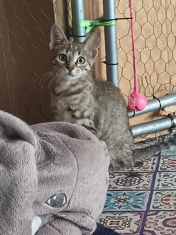 Molly Foto 4