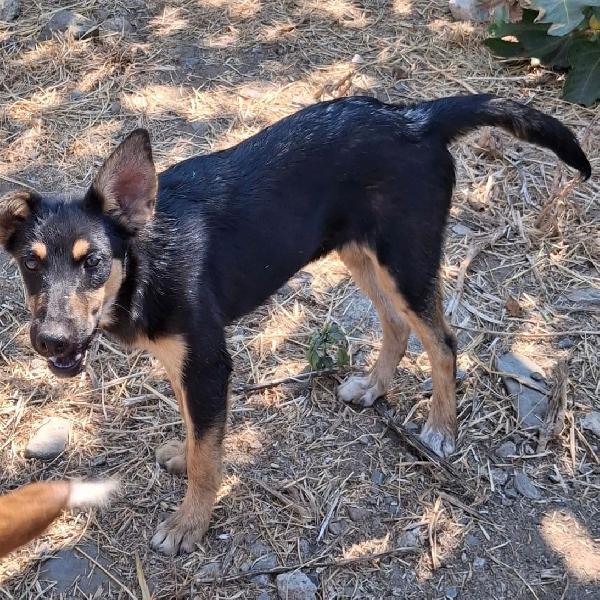 Ada...una guerriera 💖 Foto 5